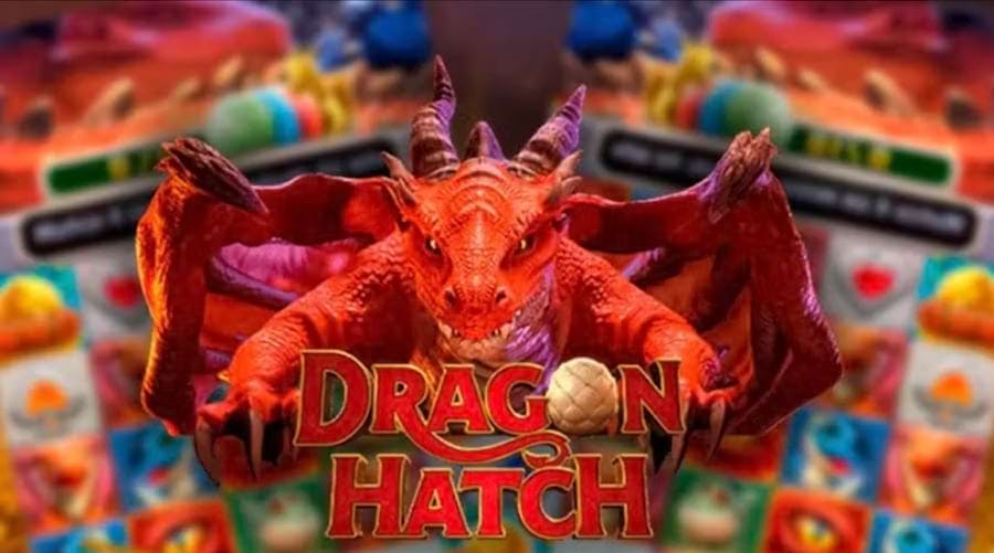 Dragon hatch vale a pena